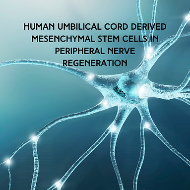 Human umbilical cord derived mesenchymal stem cells and peripheral nerve regeneration.